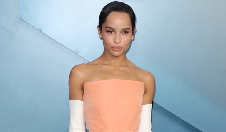 2024 Color Of The Year Peach Fuzz: Meaning Explained