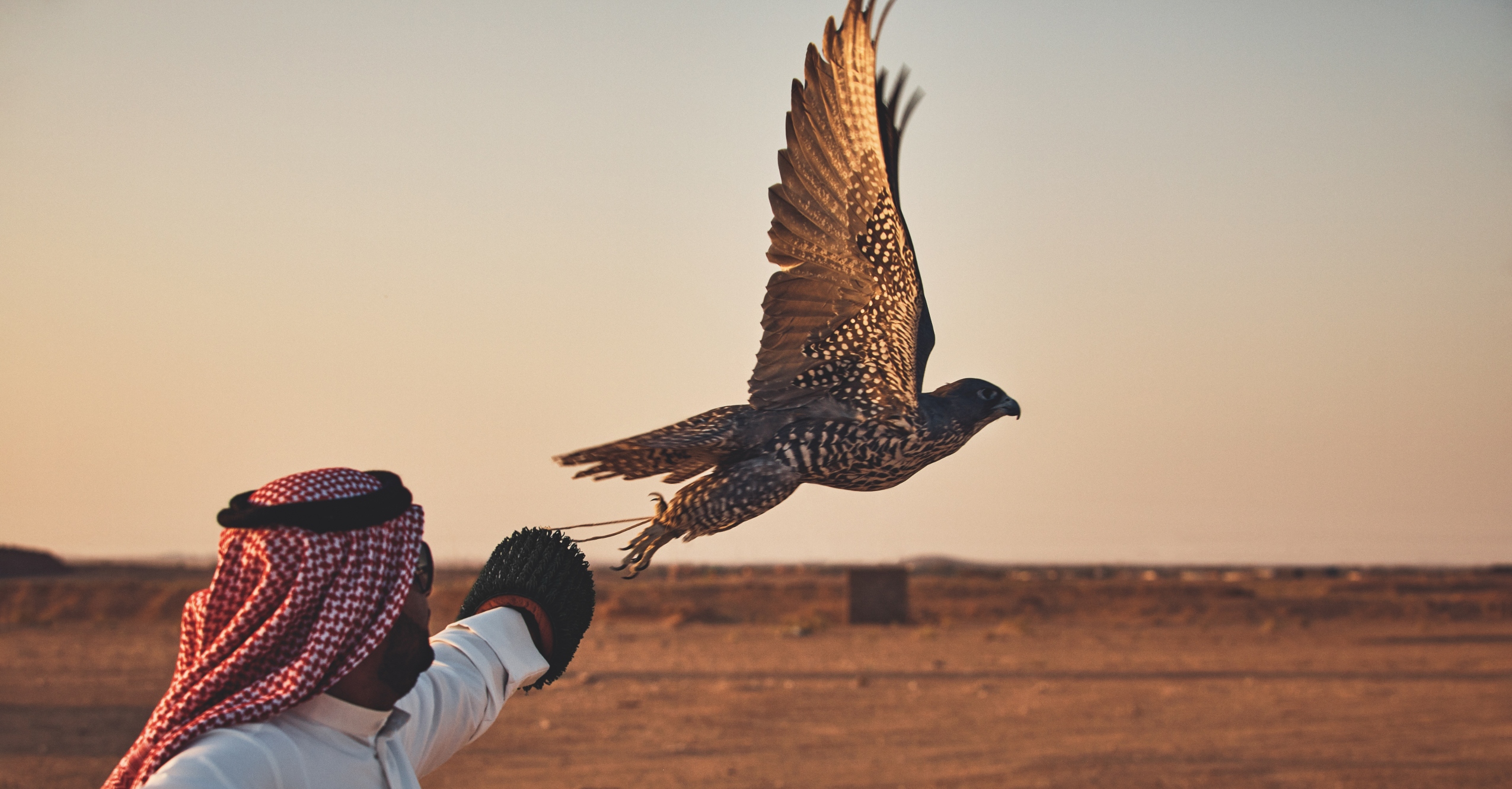 These 3 Animal-Focused Photo Books Spotlight Saudi Arabian Wildlife