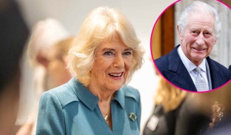 Queen Camilla Gives Update on King Charles III’s Health After Procedure