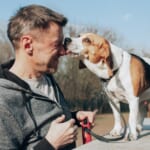Ways Pets Can Boost Longevity Through Connection, Exercise