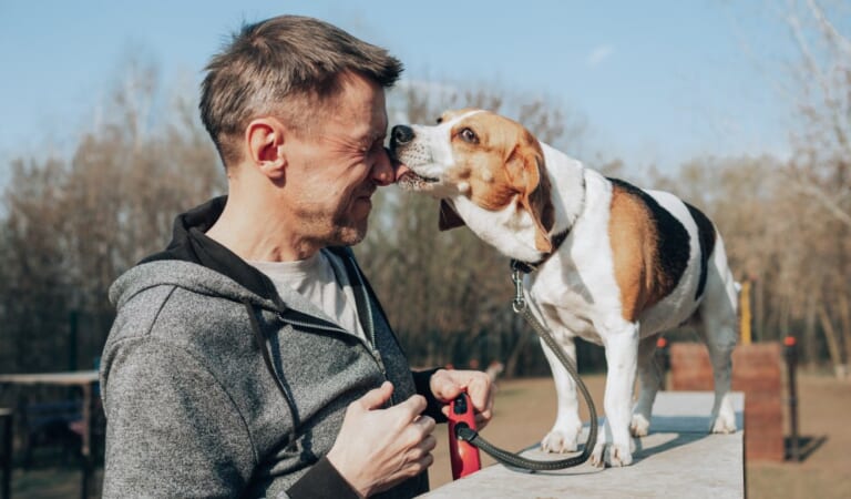 Ways Pets Can Boost Longevity Through Connection, Exercise