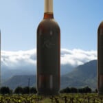 Wine Of The Week: JC Bravo Carignan