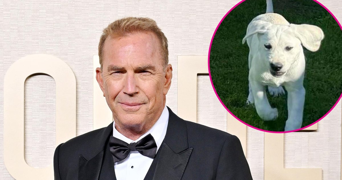 Kevin Costner Is 'Already in Love' With His 'Special' New Puppy