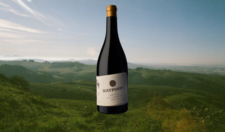 Wine of The Week: WaypointTerra de Promissio Pinot Noir