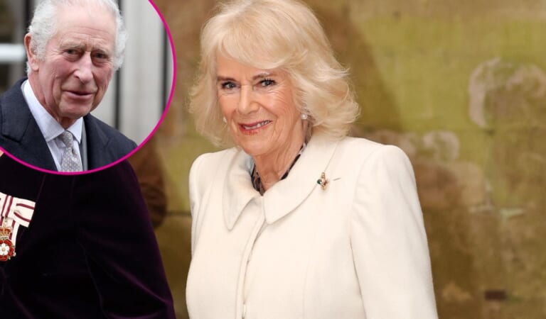 Queen Camilla Has 1st Outing After King Charles III’s Cancer News