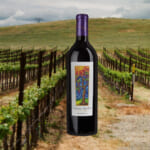Wine Of The Week: Darcie Kent Stone Patch