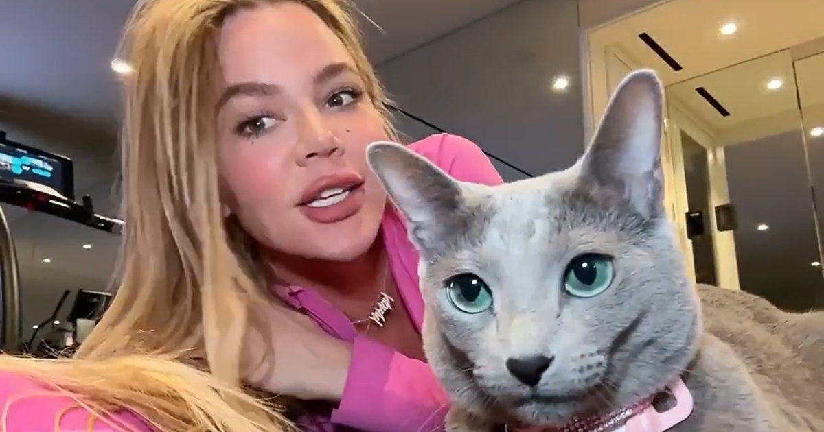 Khloe Kardashian Accused of Editing Her Cat’s Photo