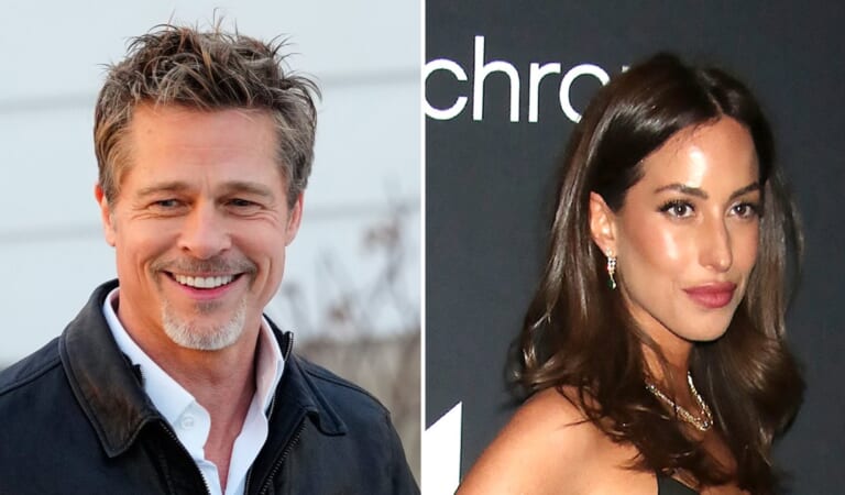 Brad Pitt and Ines de Ramon Are Living Together and ‘So in Love’