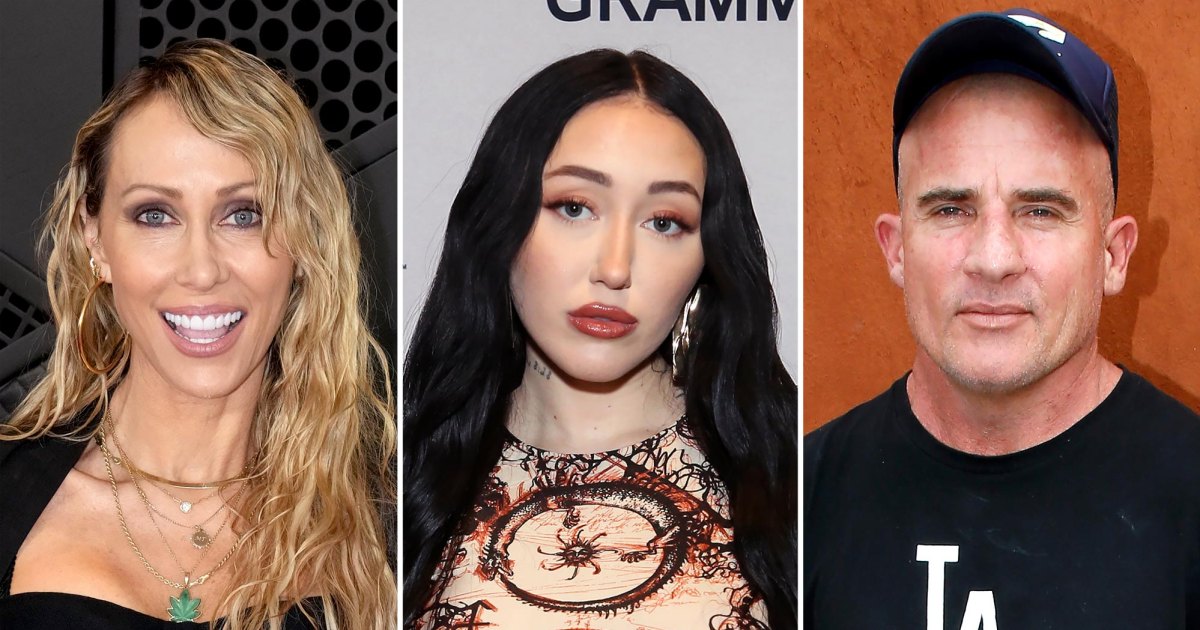 Tish Cyrus Is 'On the Outs' With Noah Cyrus Over Dominic Purcell Drama