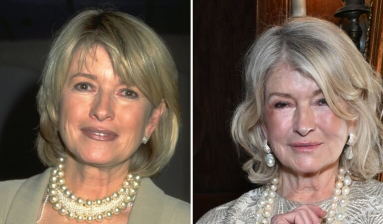 Did Martha Stewart Get Plastic Surgery? Photos and Quotes