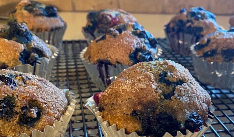 BJ Brinker’s Home Cooking: Healthier Sourdough Blueberry Muffins