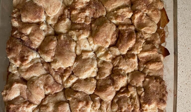 BJ Brinker’s Home Cooking: Snickerdoodle Apple Pie
