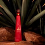 1800 Tequila Debuts Orange Liqueur-Finished GuachiMonton Añejo