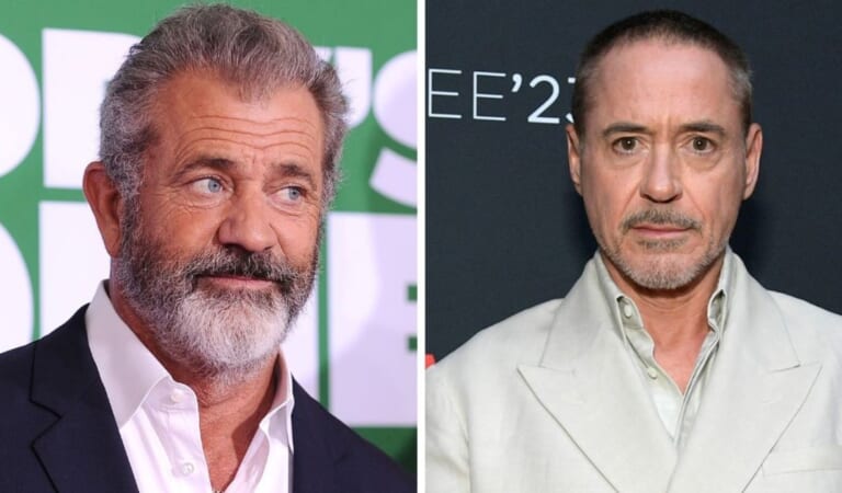 Mel Gibson and Robert Downey Jr wouldn’t exist Without the Other